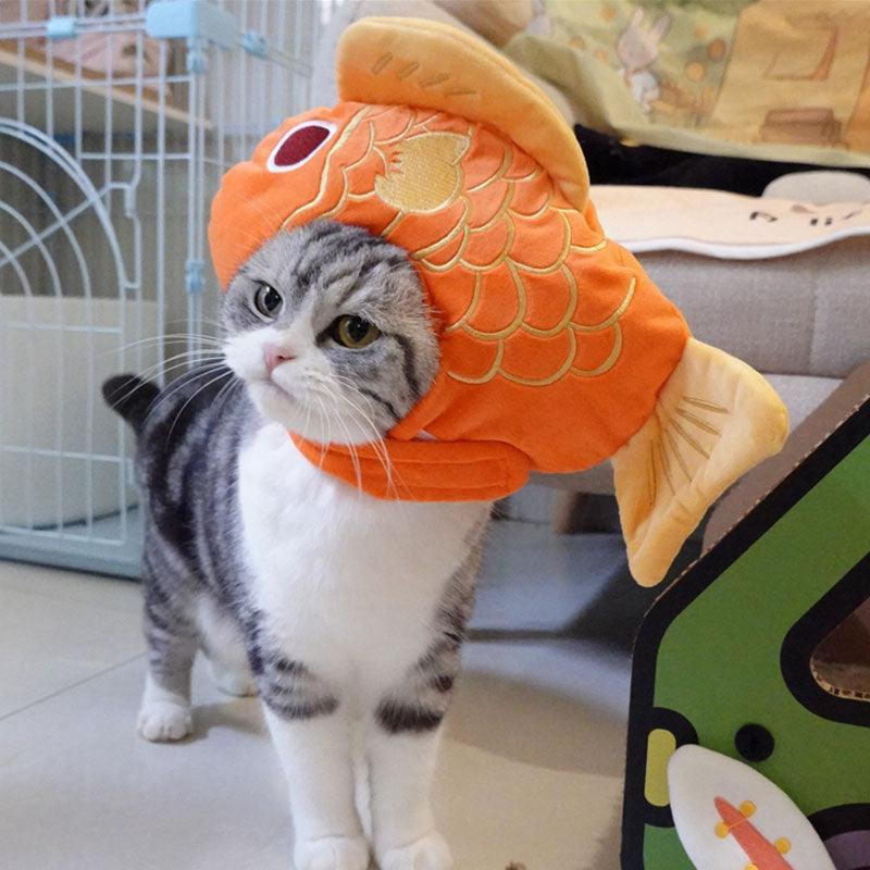 Lucky Fish Cat Hat Cute Head Cover