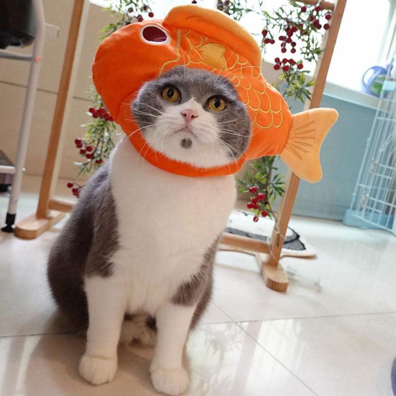 Lucky Fish Cat Hat Cute Head Cover
