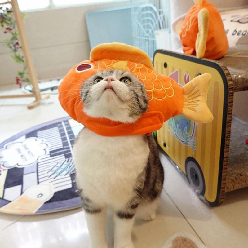 Lucky Fish Cat Hat Cute Head Cover