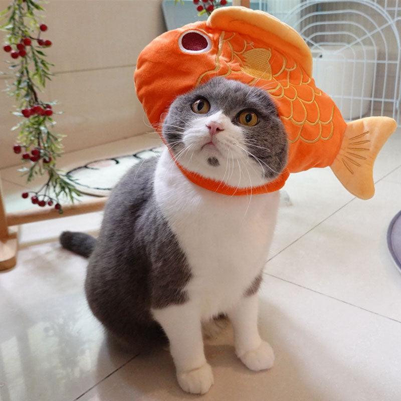 Lucky Fish Cat Hat Cute Head Cover – MEWCATS - Main Image