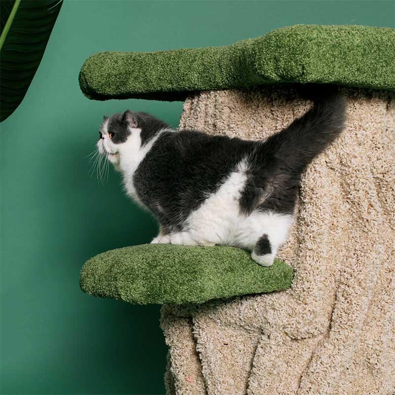 Luxury Cat Condo 2 Color Climbing Frame Tree - MEWCATS