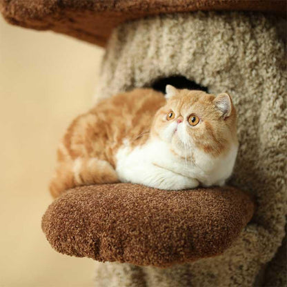 Luxury Cat Condo 2 Color Climbing Frame Tree - MEWCATS