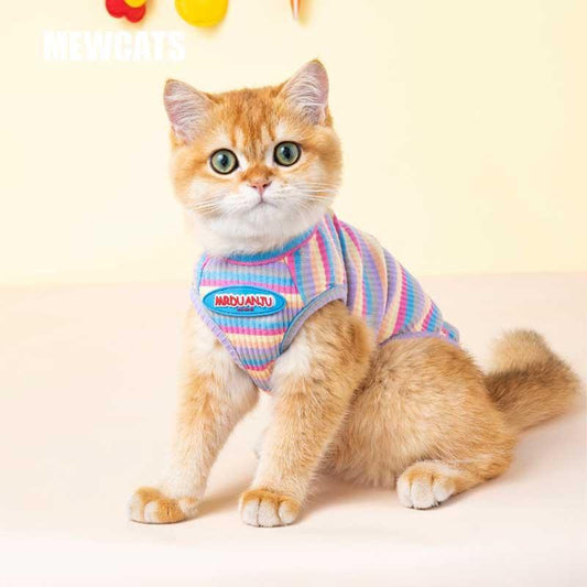 Mrduanju Rainbow Cat Vest Pet Clothes