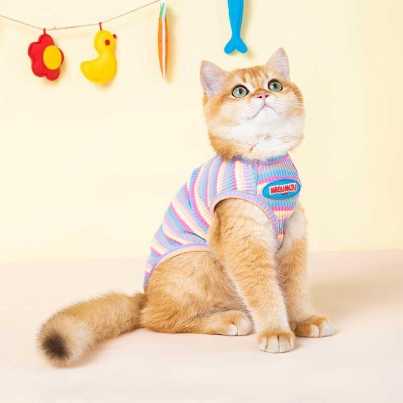 Mrduanju Rainbow Cat Vest Pet Clothes - MEWCATS