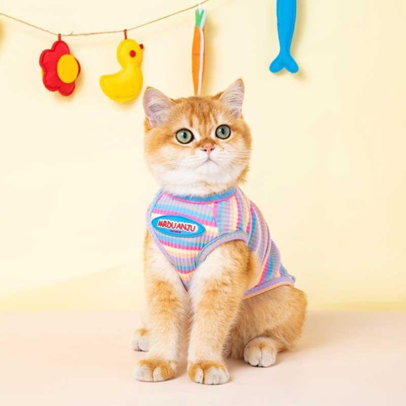 Mrduanju Rainbow Cat Vest Pet Clothes - MEWCATS