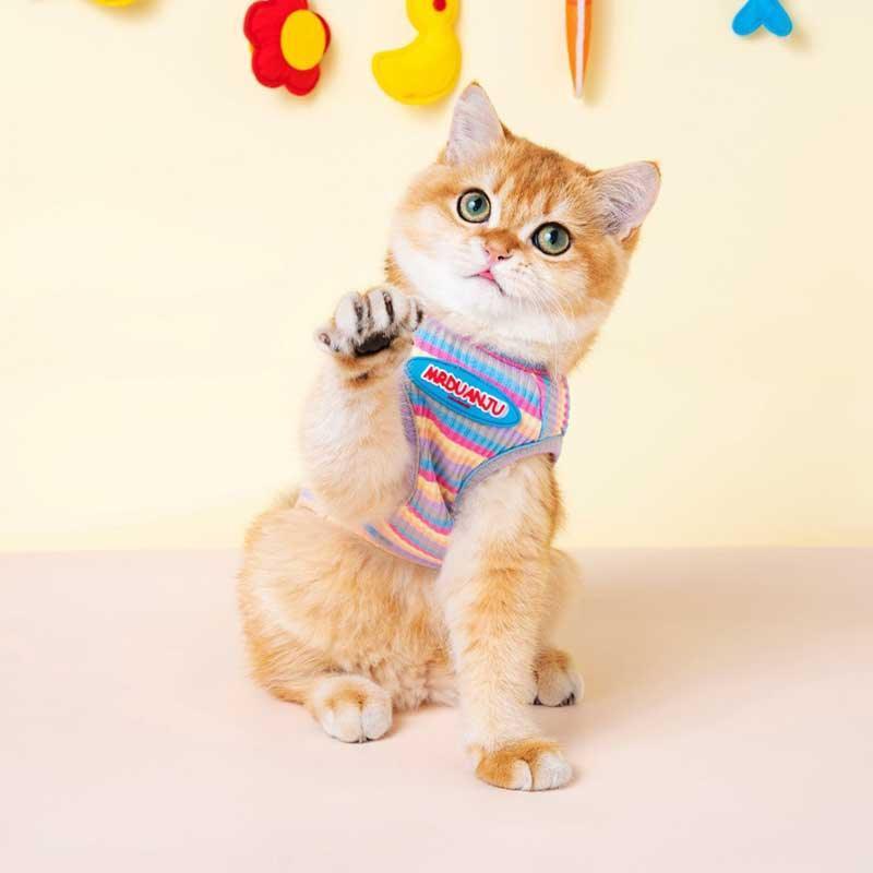 Mrduanju Rainbow Cat Vest Pet Clothes - MEWCATS