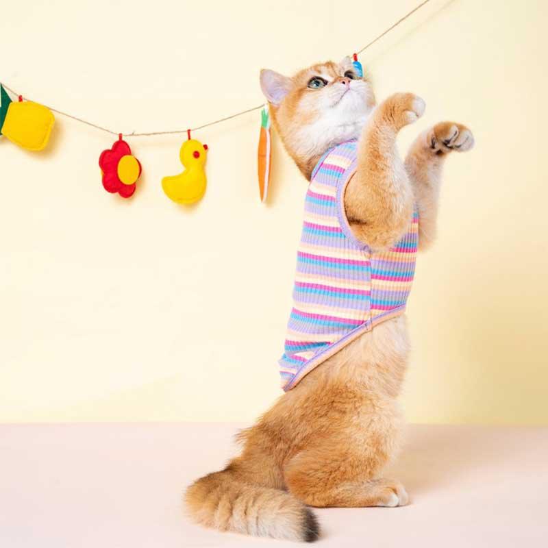 Mrduanju Rainbow Cat Vest Pet Clothes