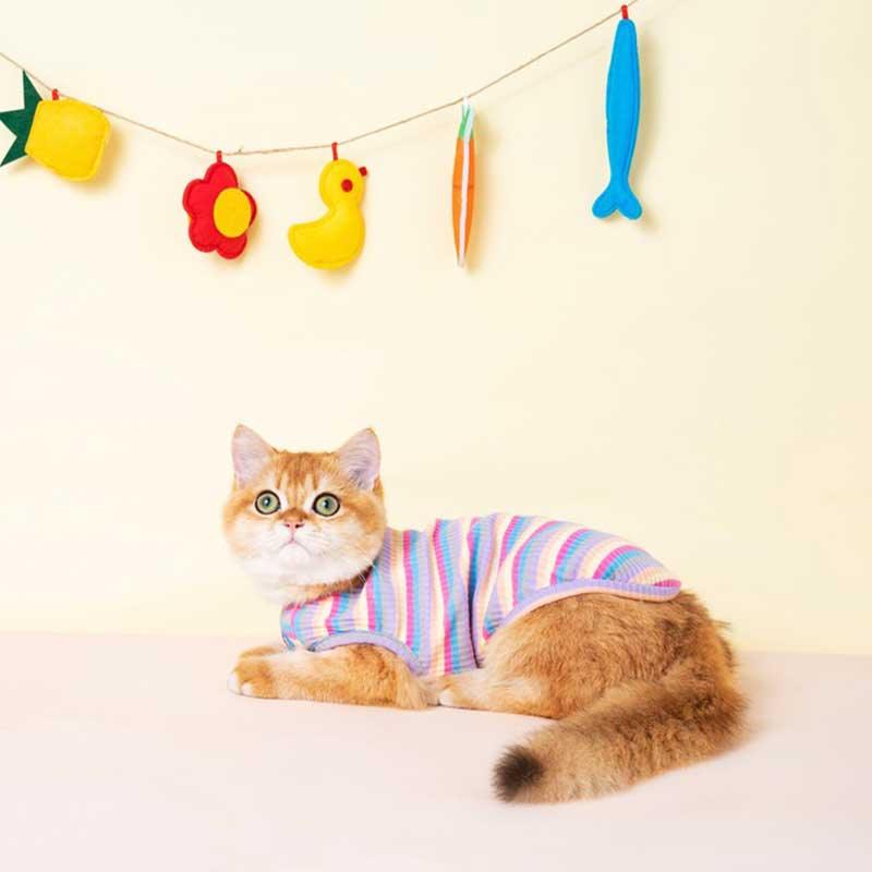 Mrduanju Rainbow Cat Vest Pet Clothes