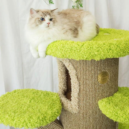 Mushroom Forest Cat Tree Climbing Frame - MEWCATS