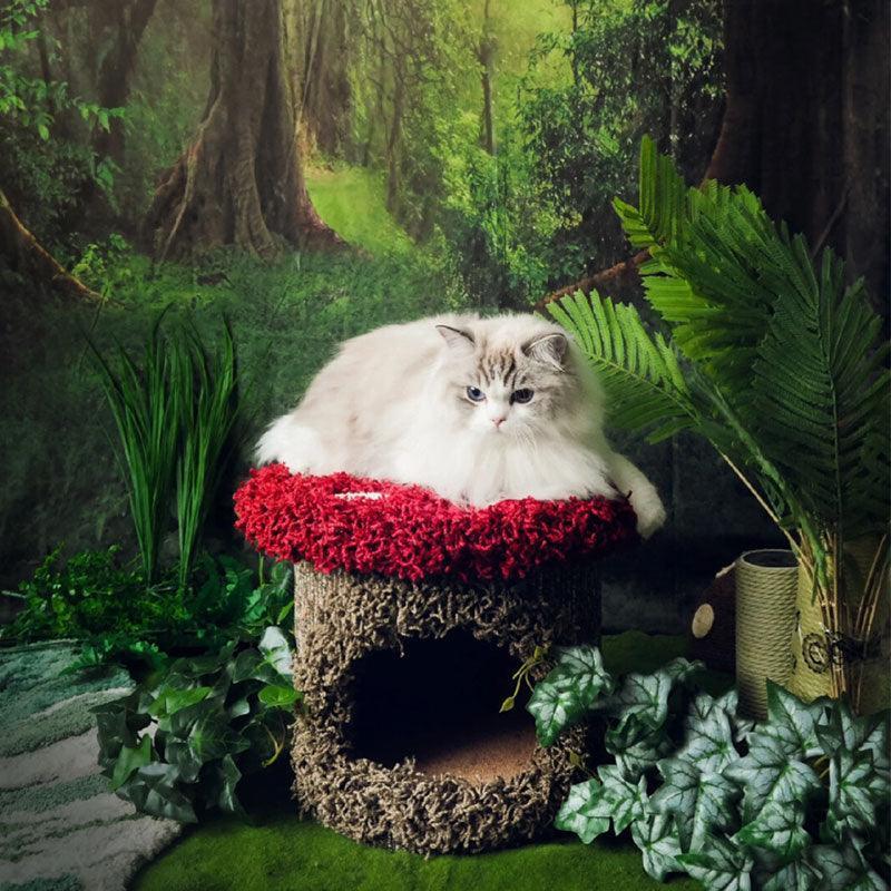 Mushroom Forest Cat Tree Climbing Frame - MEWCATS
