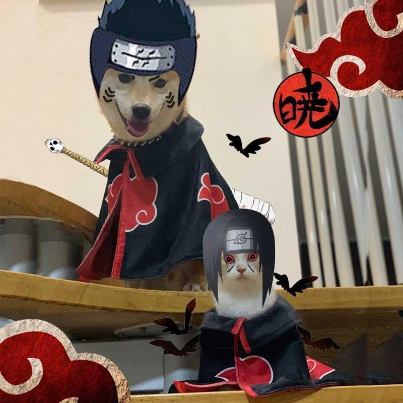 Naruto Anime Cat Cosplay Costume 5 Style Cape - MEWCATS