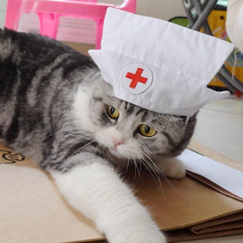 Cute Nurse Cat Clothes Hat Dress Pet Shooting Costumes