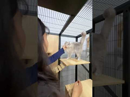 Modern Black Cat Villa Full View Indoor Cat Home