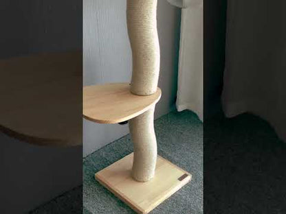 Curved Wood Floor to Ceiling Cat Climbing Tree