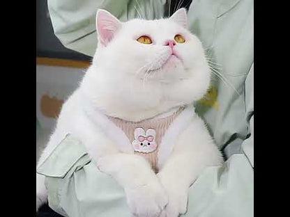 Rabbit Cat Harness Escape Proof 3 Color Vest Leash Set