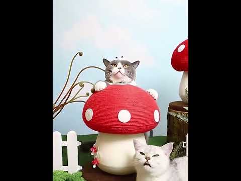 Mushroom Cute Cat Climbing Frame Scratching Post
