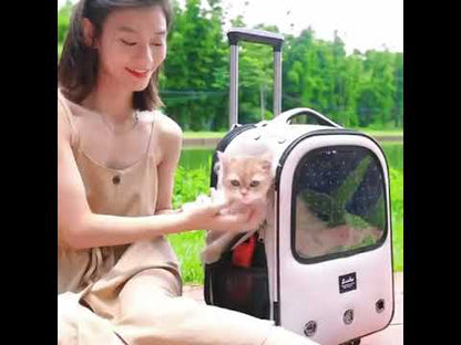 Trolley Cat Carrier Backpack With Wheels Rolling Large Space Breathable 5 Color Pet Bag