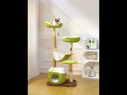 Coconut Grove Solid Wood Cat Climbing Tree