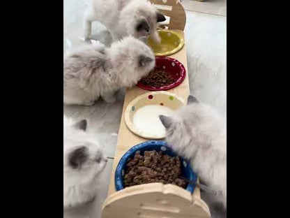 Multi Cat Feeder Adjustable Cat Food Water Bowl