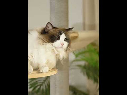 Treadmill Cat Climbing Tree Exercise Wheel