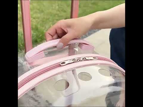 Transparent Cat Trolley Case Travel Transport Tote With Wheels Rolling Pet Handbag