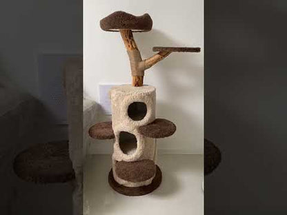 Treehouse Cat Tree for Multiple Cats Climbing Condo