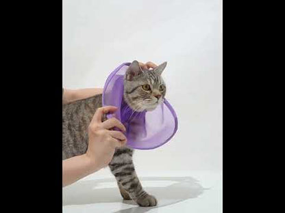 Mesh Cat Cone Adjustable Headgear