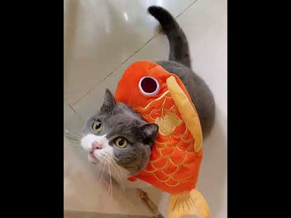 Lucky Fish Cat Hat Cute Head Cover