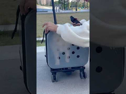Large Space Double Layer Cat Trolley Case With Wheels