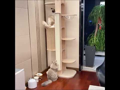 Premium Solid Wood Tower Cat Climbing Tree Scratching Post