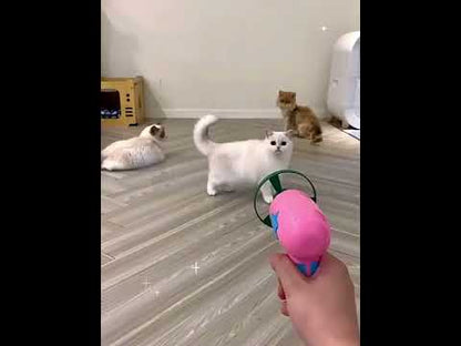 Cat Fetch Toy 4 Color Kitty Tracking Interactive Toys Set