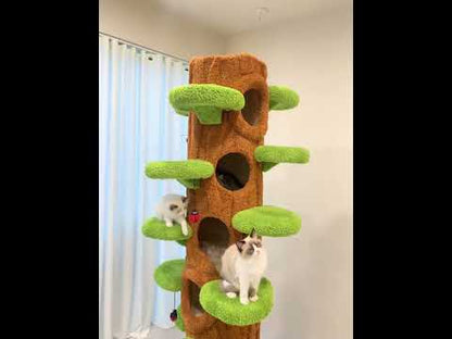 Luxury Cat Tree Looks Like Tree Climbing Frame