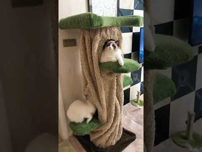 Luxury Cat Condo 2 Color Climbing Frame Tree