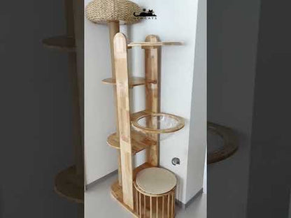 Capsule Climbing Wood Tree for Multiple Cat