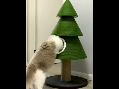 Large Christmas Tree Cat Bed Sisal Climbing Frame MEWCATS