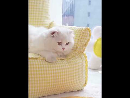 Mini Cat Armchair Sofas Fluffy 4 Color Bed Couch