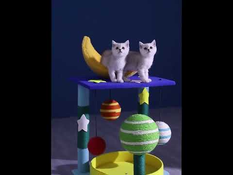 Cute Cat Climbing Tower Frame Tree Sisal Rope and Interactive Balls