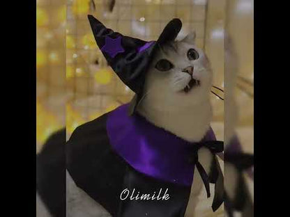 Wizard Cat Cape Hat Pumpkin Bib Halloween Costume