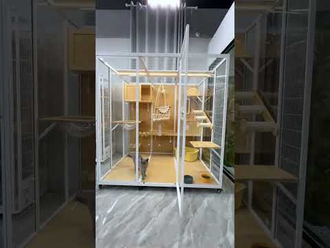 Luxury Panoramic Cat Villa with Glass Walls & LED Lighting