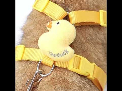 Animal Cat Lead Harness Large Leash Set Escape Proof