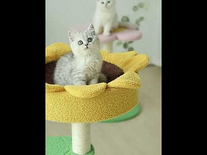 Sunflower Cat Climbing Frame Tower 2 Style Cat Tree Get Free Cushion