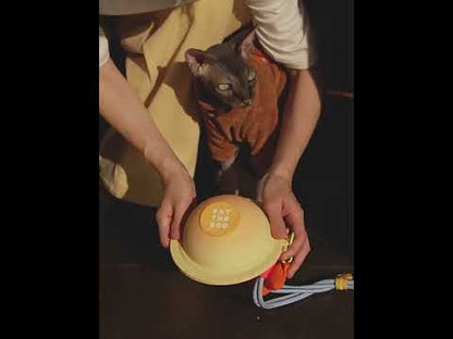 Cat Planet Bowl Portable Outdoor Collapsible