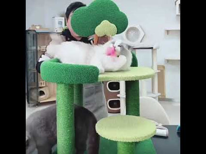 Luxury Cat Garden Climbing Frame Tower Cute Cat Tree