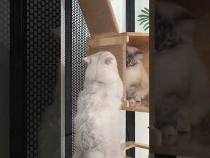 Wonderland Premium Panoramic Cat Villa