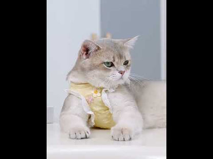 Lace Sleeve Cat Leash Cute Harness