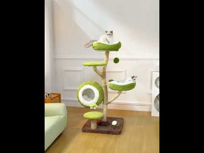 Coconut Grove Solid Wood Cat Climbing Tree