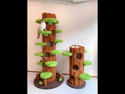 Luxury Cat Tree Looks Like Tree Tall Climbing Frame