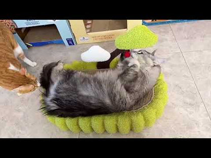 Lucky Tree Cat Scratching Board Green Ellipses Kitty Bed