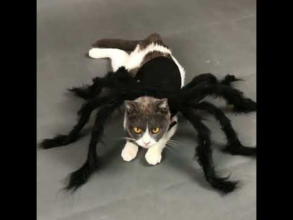Halloween Cat Black Spider Costume