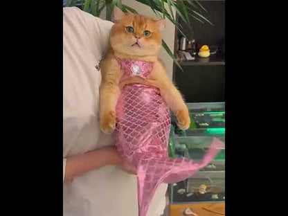 Mermaid Cat Costume Funny Photo Prop Clothes